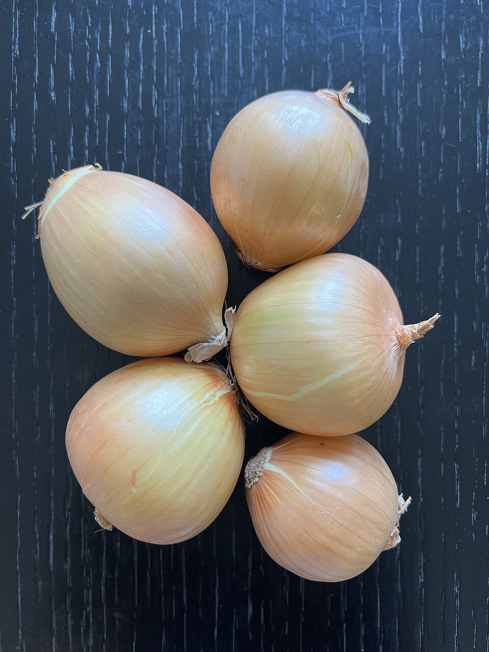 Onion