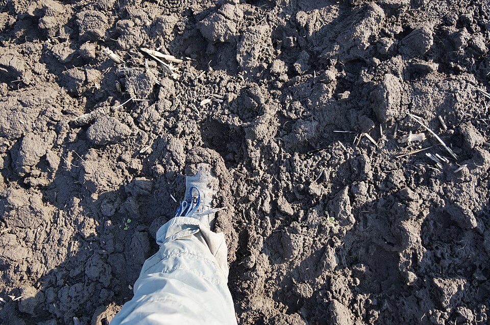 Trekking boots
